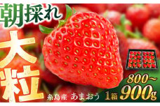 糸島産 あまおう 1箱（800-900g） 糸島市 / 平山農園 [AXN003]