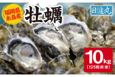 【日時指定可】福岡県糸島産 殻付き牡蠣 10kg(125粒前後) 糸島市 / 日進丸 牡蛎 カキ [AWA012]