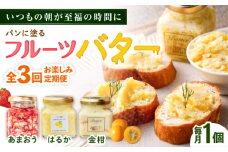 【全3回定期便】お楽しみ定期便 フルーツバター大1個 糸島市 / 糸島正キ ジャム クリーム 果物 [AQA062]