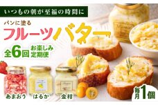 【全6回定期便】お楽しみ定期便 フルーツバター大1個 糸島市/糸島正キ ジャム クリーム 果物 [AQA063]