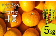 甘夏 5kg 【栽培期間中農薬・化学肥料不使用】 糸島市 / 大石ファーム [ATE044]