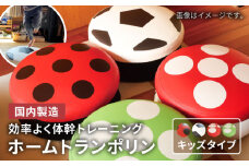 【赤いキノコ】ホームトランポリン キッズタイプ 糸島市 / 未来航路 クッション インテリア [AAB008-3]
