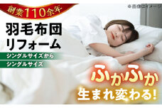【ブルー系】羽毛布団 リフォーム 打ち直し 【シングルサイズからシングルサイズ】糸島市 / くじめ屋 [ADP001-2]