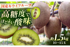 糸島産 東京ゴールド 約1.5kg 糸島市 / 南国フルーツ株式会社 / キウイフルーツ キウイ [AIK029]