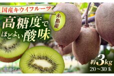 糸島産 東京ゴールド 約3kg 糸島市 / 南国フルーツ株式会社 / キウイフルーツ キウイ [AIK030]