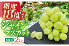 【先行予約】【糖度18度以上】 糸島産 シャインマスカット 2kg 【2025年8月中旬より順次発送】糸島市 / 和饗エコファーム フルーツ 果物 [AVI007]