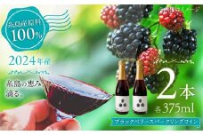 2024年産 糸島産ブラックベリースパークリングワイン 375ml 2本セット / 糸島市 / HYM FARM / お酒 赤ワイン [AHM003]