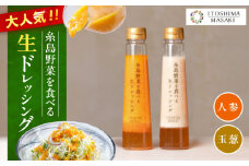 【ご家庭用】糸島野菜を食べる生ドレッシング（人参・玉葱 2本セット） 糸島市 / 糸島正キ / 野菜 サラダ [AQA100]