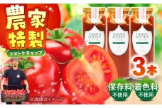 糸島のトマト農家が作る 無添加トマトケチャップ 3本セット 糸島市 / かわぞえ農園 ケチャップ トマト [AAM007] 14000 14000円