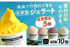 【夏季限定】ジェラートカップ 10個セット 5種類×各2個 (マンゴー/糸島甘夏/グァバブレンド/アサイーブレンド/キウイ) 糸島市 / Loiter Market lABO ロイターマーケット [AGD036]