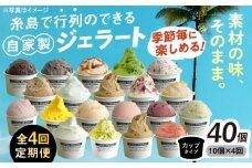 【全4回定期便】季節のジェラートカップ定期便 10個×4回 1年間 計40個 糸島市 / Loiter Market lABO ロイターマーケット [AGD039]