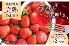 【先行予約】福岡県 糸島市産 完熟 あまおう いちご （約270g×2パック） 【2026年4月以降順次発送】 糸島市 / mhshops / 苺 イチゴ [AKQ001]