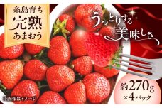 【先行予約】福岡県 糸島市産 完熟 あまおう いちご （約270g×4パック） 【2026年4月以降順次発送】 糸島市 / mhshops / 苺 イチゴ [AKQ002]