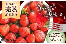 【先行予約】福岡県 糸島市産 完熟 あまおう いちご （約270g×6パック） 【2026年4月以降順次発送】 糸島市 / mhshops / 苺 イチゴ [AKQ003]