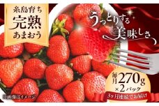 【全3回定期便】福岡県 糸島市産 完熟 あまおう いちご （約270g×2パック） 【2026年4月以降順次発送】 糸島市 / mhshops / 苺 イチゴ [AKQ004]