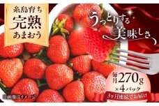 【全3回定期便】福岡県 糸島市産 完熟 あまおう いちご （約270g×4パック） 【2026年4月以降順次発送】 糸島市 / mhshops / 苺 イチゴ [AKQ005]