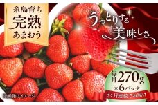 【全3回定期便】福岡県 糸島市産 完熟 あまおう いちご （約270g×6パック） 【2026年4月以降順次発送】 糸島市 / mhshops / 苺 イチゴ [AKQ006]