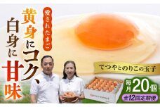 【全12回定期便】てつやとのりこの玉子 【 20個 】 糸島市 / 板垣ファーム 卵 たまご 鶏卵 [AWD018]