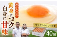 てつやとのりこの玉子 【 40個 】 糸島市 / 板垣ファーム 卵 たまご 鶏卵 [AWD019]