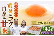 【全12回定期便】てつやとのりこの玉子 【 40個 】 糸島市 / 板垣ファーム 卵 たまご 鶏卵 [AWD022]