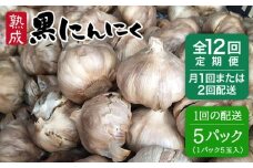 【月に1回配送】【 全12回 定期便 】熟成 黒にんにく 25玉 （ 1パック 5玉 × 5パック ） 《糸島》 【シーブ】 [AHC040-1]