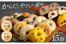 【ベーグル好きは知る専門店】おまかせ ベーグル 15個セット＜NANA CAFE＞  那珂川市 ベーグル パン ぱん 朝食 ヘルシー おやつ こだわり べーぐる 手作り ベーグル 詰め合わせ ベーグル 国産 自家製 べーぐる 天然 プレーン べーぐる 素朴 リピート ベーグル おすすめ  食べ応え バラエティー シンプル ベーグル 人気 高評価 ベーグル 特別 ご褒美 九州 福岡 [GAB002]