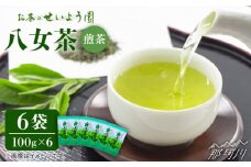 【豊かな香りにまろやかな旨味】八女茶 6袋 600gセット（100g×6袋）＜お茶の星陽園 ＞那珂川市 緑茶 お茶 八女茶 [GAD001]