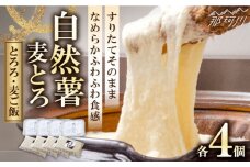 【味付け不要！本格「自然薯」麦とろ】自然薯 麦とろ セット（4人前）＜自然薯王国＞那珂川市 自然薯とろろ とろろ 自然薯 とろろ とろろ 自然薯 母の日 父の日 [GAH002]