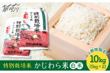 【9月中旬から発送】特別栽培米 かじわら米 新米 白米  計10kg（5kg×2）＜農事組合法人かじわら＞白米 米  [GAI001]
