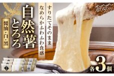 【味付け不要！本格自然薯とろろ】自然薯 とろろ 味くらべセット 計9個（3種類×3個）＜自然薯王国＞那珂川市 自然薯とろろ とろろ 自然薯 [GAH003]
