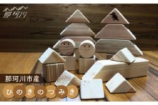 【ひのきで「木育」】那珂川市産 ひのきのつみき（228×228×50mm）＜大匠建設 木のお店＞[GAJ001]