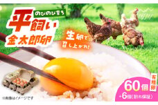 卵 平飼いたまご 金太郎卵 60個（6個✕10P）＜有限会社 フジノ香花園＞那珂川市 卵 国産 鶏卵 玉子 タマゴ 卵 おすすめ 卵黄 人気 ランキング 九州 福岡 [GAM004]