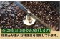 コーヒー 珈琲 コーヒー豆 自家焙煎 大容量