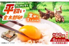 【全12回定期便】【TVで紹介！】鮮度ＡＡ級の世界最高ランク！金太郎卵 平飼い 卵 60個（6個入り✕10パック）＜有限会社 フジノ香花園＞那珂川市 卵 金太郎卵 平飼い卵 平飼い 卵 たまご タマゴ 玉子焼き 卵焼き  [GAM013]