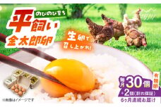 【全6回定期便】【TVで紹介！】鮮度ＡＡ級の世界最高ランク！金太郎卵 平飼い 卵 30個（6個×5パック）＜有限会社 フジノ香花園＞那珂川市 卵 金太郎卵 有精卵 平飼い 卵 平飼い卵 たまご [GAM018]