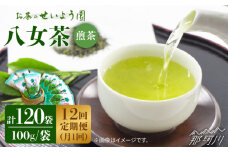 【全12回定期便】八女茶10袋（1kg）セット＜お茶の星陽園 ＞那珂川市 緑茶 お茶 八女茶 [GAD010]