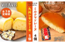 【全3回定期便】VISAVIS 菓子 2種セット 計9点 ＜株式会社シークス＞那珂川市 ケーキ お菓子 焼き菓子 VISAVIS ヴィザヴィ バターケーキ [GAU007]