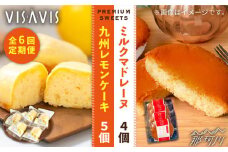 【全6回定期便】VISAVIS 菓子 2種セット 計9点 ＜株式会社シークス＞那珂川市 ケーキ お菓子 焼き菓子 VISAVIS ヴィザヴィ バターケーキ [GAU008]