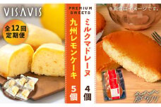 【全12回定期便】VISAVIS 菓子 2種セット 計9点 ＜株式会社シークス＞那珂川市 ケーキ お菓子 焼き菓子 VISAVIS ヴィザヴィ バターケーキ [GAU009]