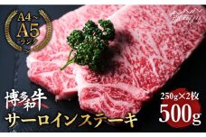 博多和牛 牛肉 サーロイン ステーキ 500g（250g×2）＜肉のくまもと屋＞ 那珂川市 ステーキ肉 黒毛和牛 赤身 [GBI002]