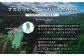  すき焼き  しゃぶしゃぶ 肉 牛肉 和牛 国産和牛 赤身 