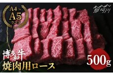 博多和牛 牛肉 焼肉 ロース 500g＜肉のくまもと屋＞那珂川市 焼き肉用 ロース 黒毛和牛 赤身 [GBI024]