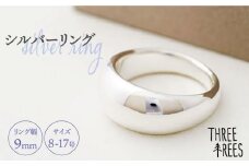 【日常のアクセントに】シルバーリング （LS-01）＜THREE TREES＞那珂川市 指輪 リング アクセサリー ジュエリー [GBJ001]