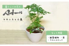 【暮らしにお花を】森の中のケロニスと小鳥＜フラワーデザイン アドニス＞那珂川市 [GBN001]