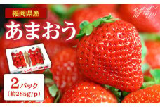 【2026年2月より発送】『自然環境農法』で育てた福岡県産 あまおう 約285g×2パック＜おおきべりー株式会社＞那珂川市 フルーツ いちご 果物 イチゴ 苺 あまおう いちご 期間限定 [GZE001]