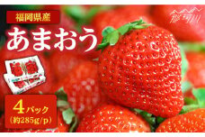 【2026年2月より発送】『自然環境農法』で育てた福岡県産 あまおう 約285g×4パック＜おおきべりー株式会社＞那珂川市 フルーツ 果物 イチゴ 苺 あまおう いちご 期間限定 [GZE002]