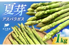 6月末まで！アスパラガス 1kg ＜坂井農園＞那珂川市 2025 季節 限定 おいしい アスパラ 人気 あすぱら アスパラガス 野菜 アスパラ ランキング アスパラガス 特別 アスパラ 健康 最高 アスパラガス ヤサイ レシピ サイズ 豊富 アスパラガス 産地直送 アスパラ 人気 アスパラガス あすぱらがす おすすめ アスパラ 太 細 サイズ 絶品 やさい あすぱら 九州 福岡 [GBP001]