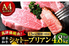 【9月～寄付額変更！】【全12回定期便】希少部位！ 博多和牛 牛肉 ヒレ シャトーブリアン 400g（200g×2） ＜肉のくまもと屋＞ 那珂川市 シャトーブリアン ヒレステーキ 黒毛和牛 赤身 ステーキ肉 フィレ ヒレ シャトーブリアン ヒレ肉 [GBI029]
