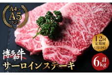 【全12回定期便】大満足！ 博多和牛 牛肉 サーロイン ステーキ 500g（250g×2）＜肉のくまもと屋＞那珂川市 ステーキ 肉 黒毛和牛 赤身 ステーキ肉 ヒレ肉 [GBI035]