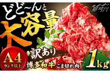 切り落とし【たっぷり大容量！】博多和牛 牛肉 切り落とし 1kg（500g×2P）＜株式会社MEAT PLUS＞那珂川市 切り落とし 切落し 牛肉 肉 黒毛和牛 国産 [GBW001]